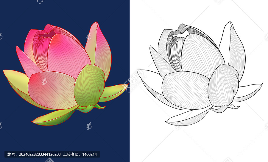 手繪蓮花