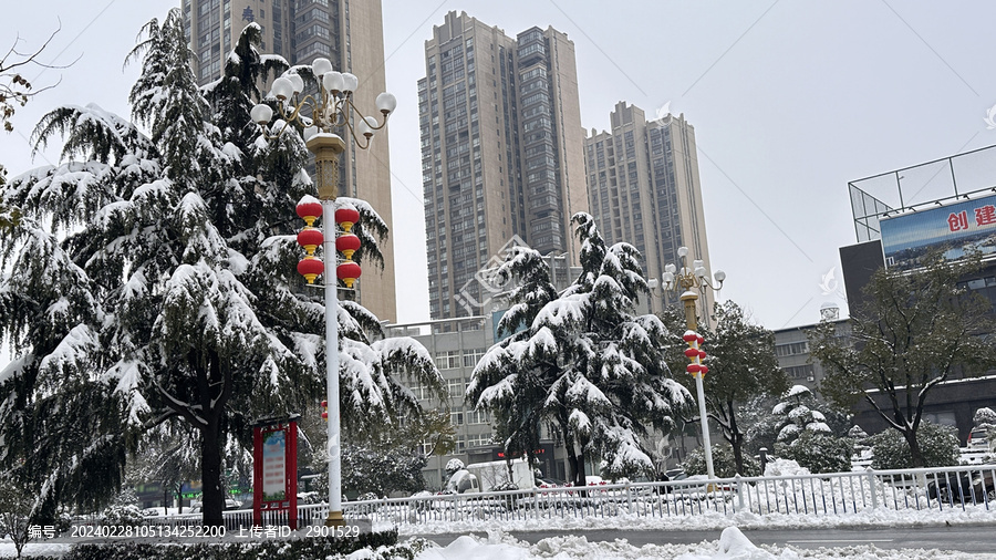 雪景