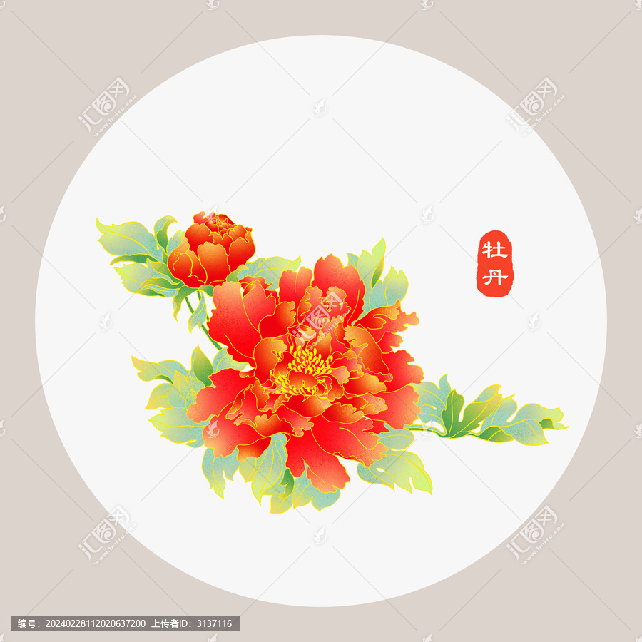 牡丹