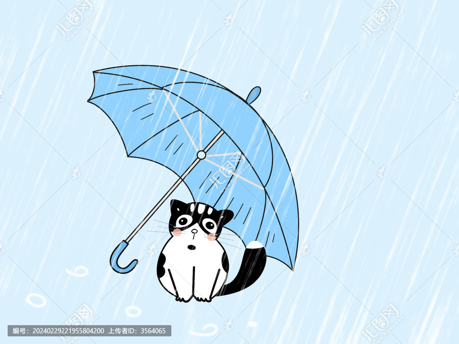 雨中小猫