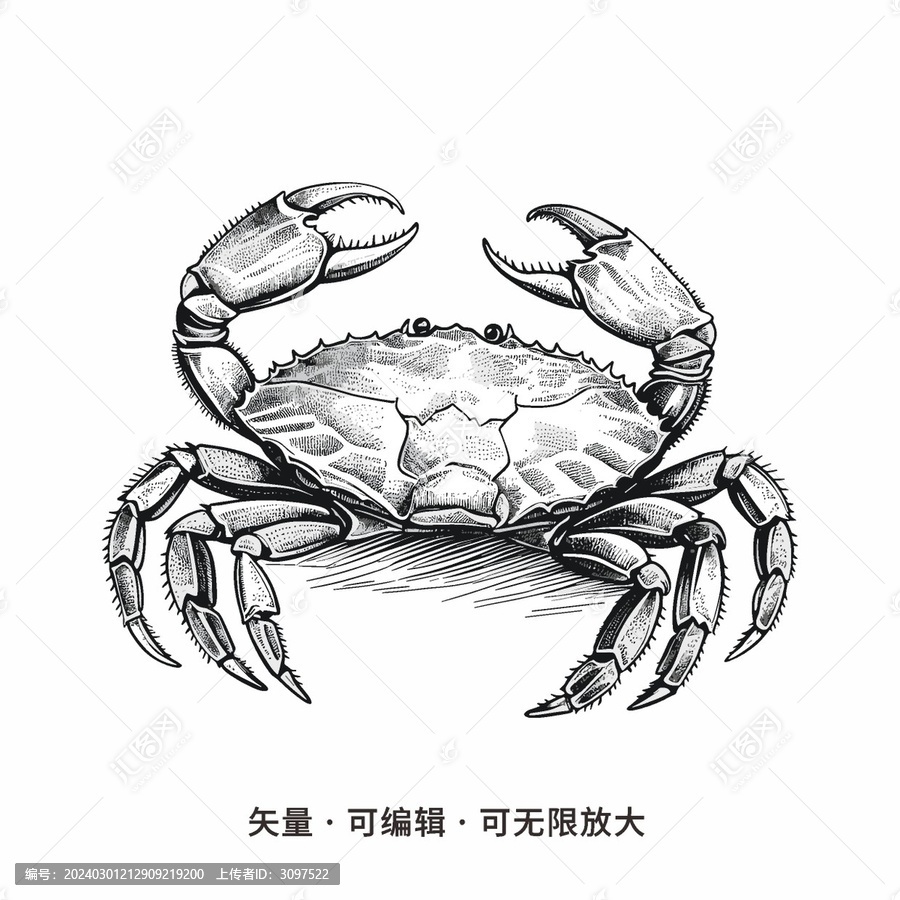 螃蟹插畫線稿矢量