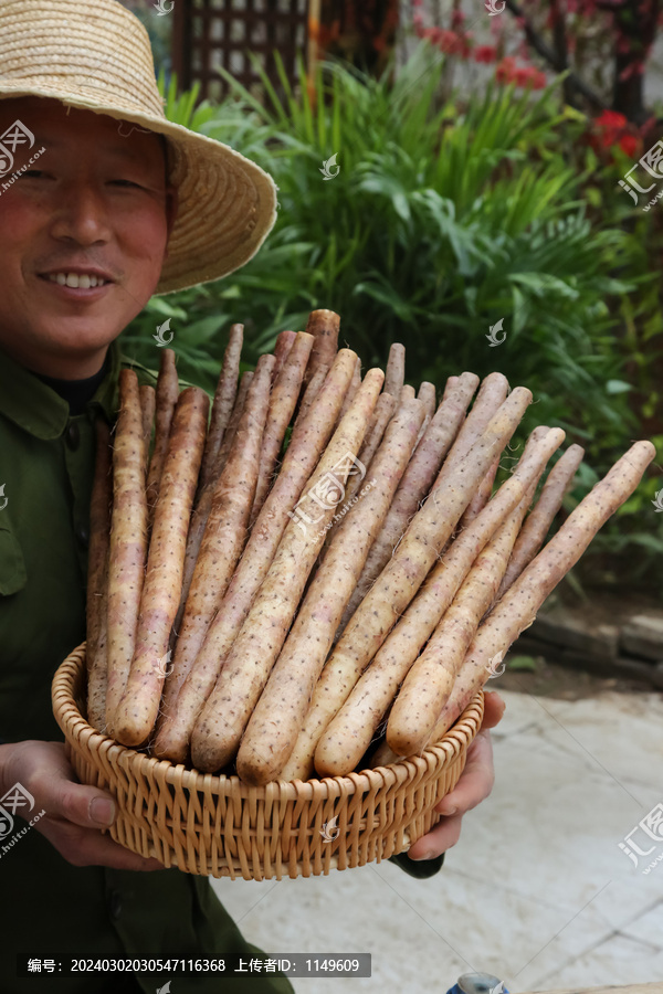 铁棍山药