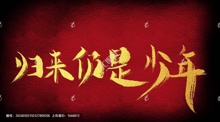 歸來(lái)仍是少年