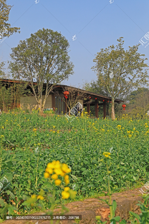 美丽乡村风景