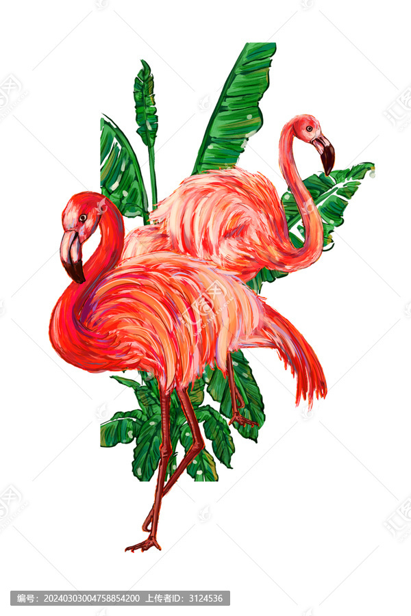 火烈鳥(niǎo)免摳素材