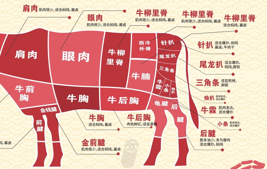 牛肉分割圖