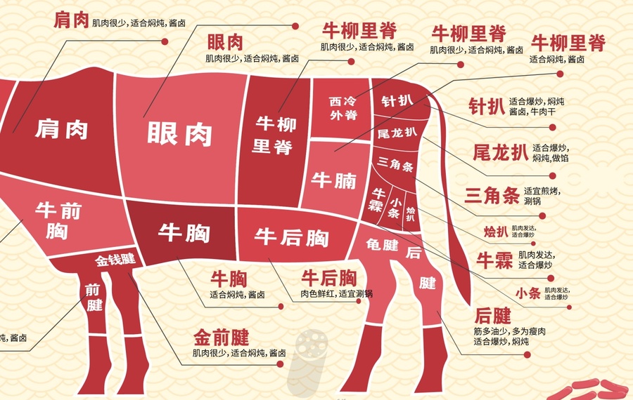 牛肉分割图