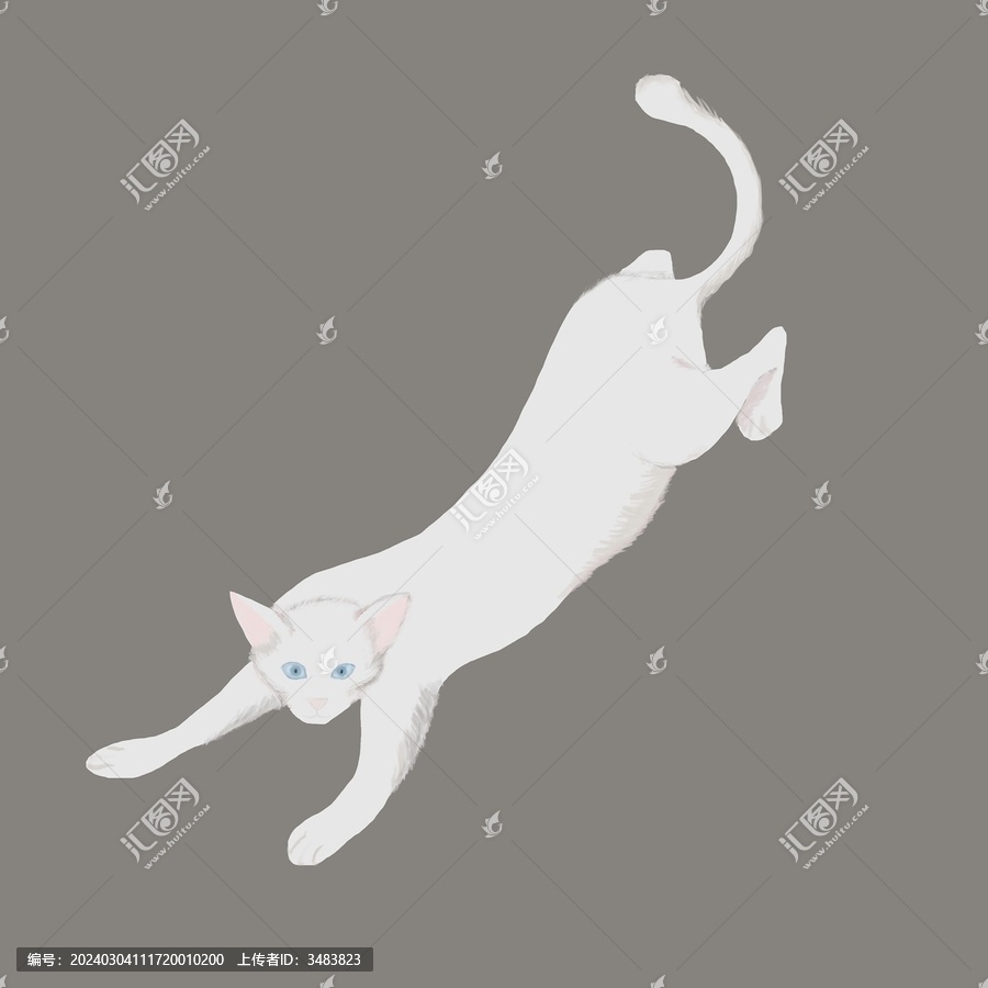 优雅伸展的白猫咪插画形象