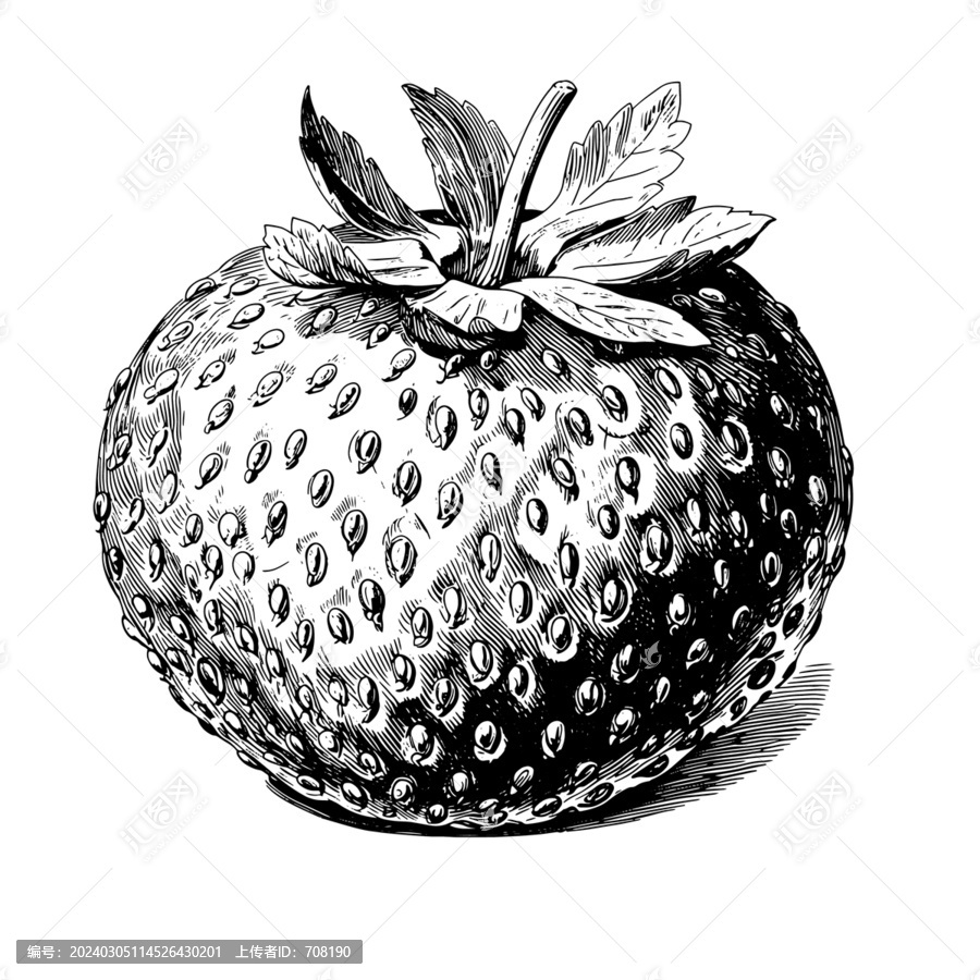 草莓素描版畫(huà)矢量素材