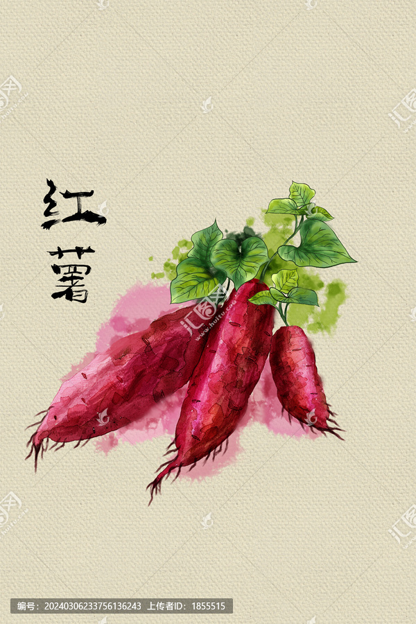 紅薯水彩畫