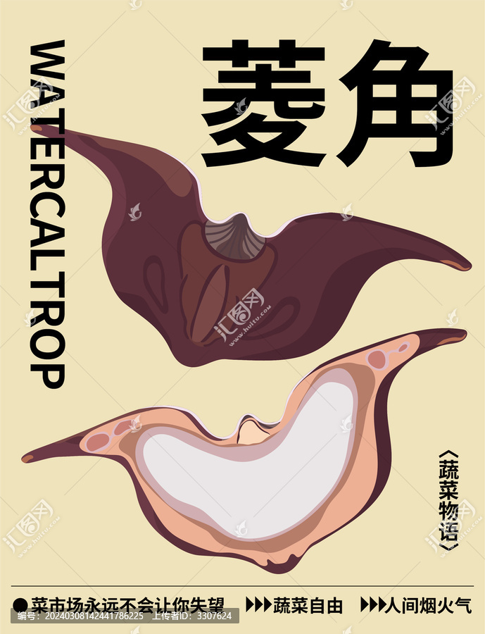 水八仙菱角紅菱矢量插畫素材包裝