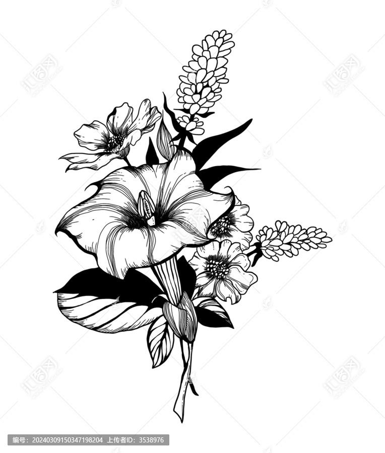 曼陀羅