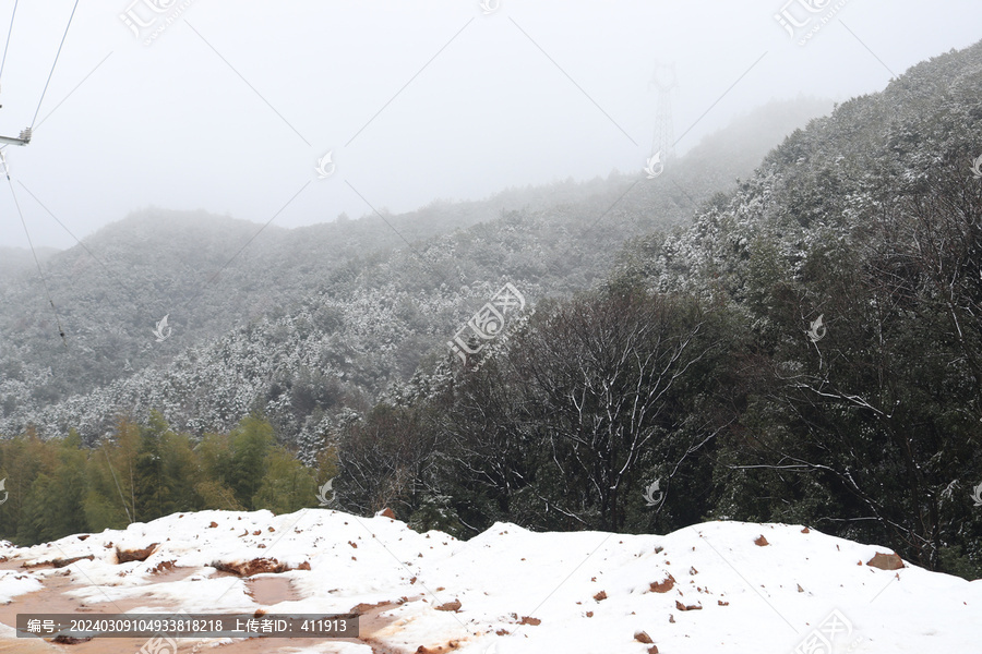 森林雪景