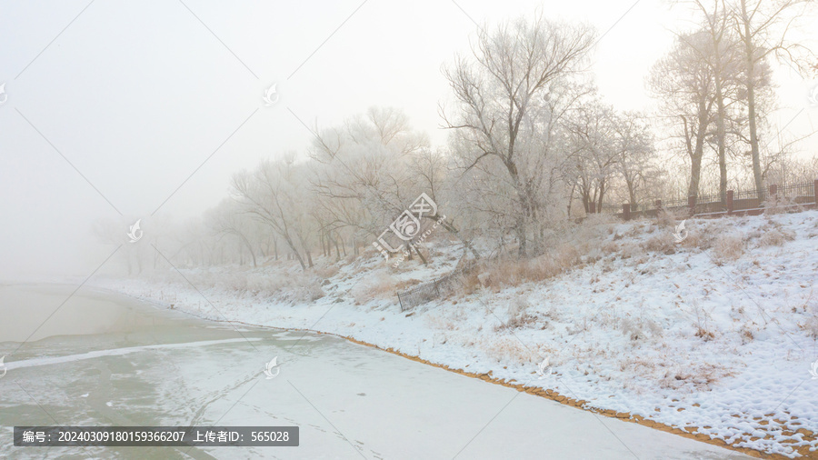 大雪中的树挂雪景城市自然风光