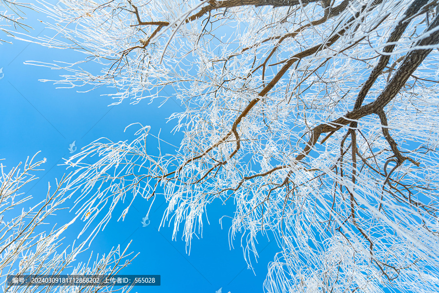 漂亮树挂冬季雪景农村雪景