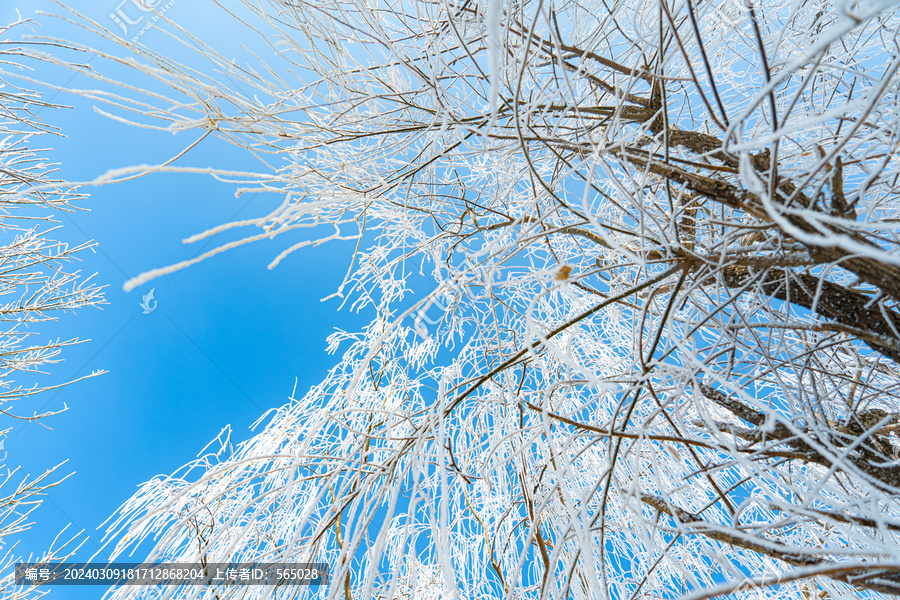 漂亮树挂冬季雪景农村雪景