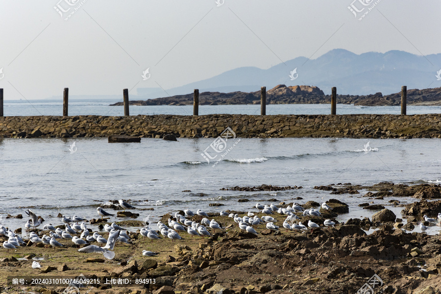 海边风景