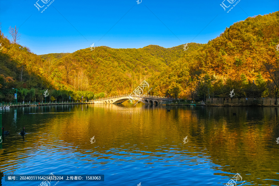 重渡沟天鹅湖