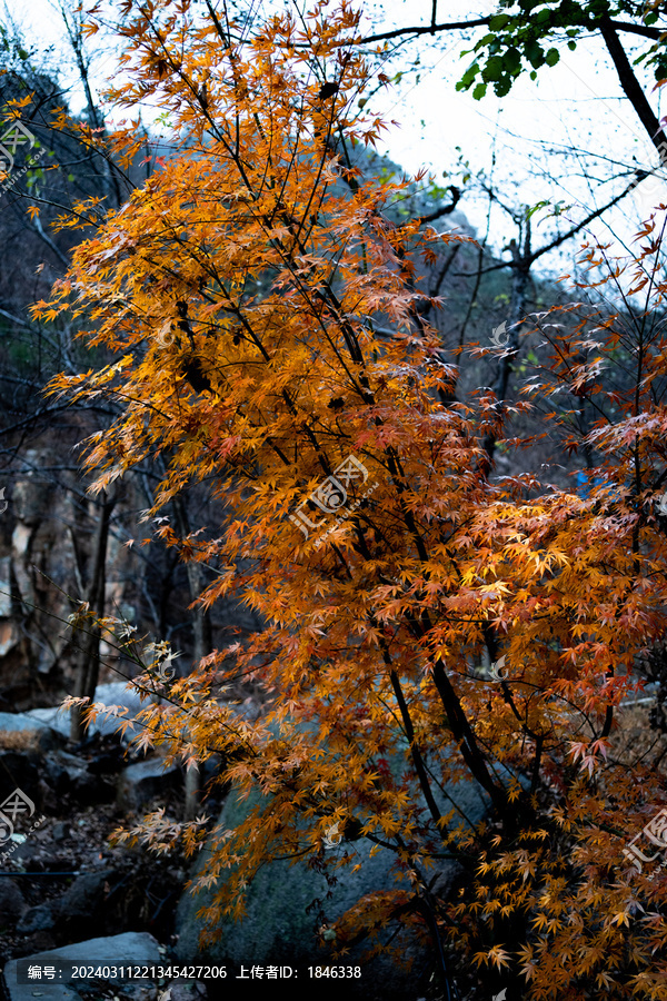 青岛崂山北九水