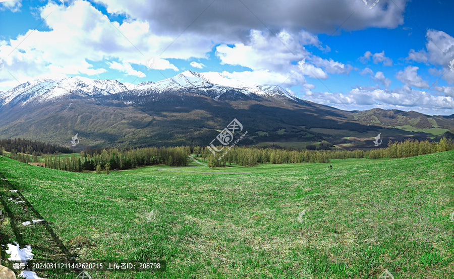 新疆雪山下春季草原牧场自然美景