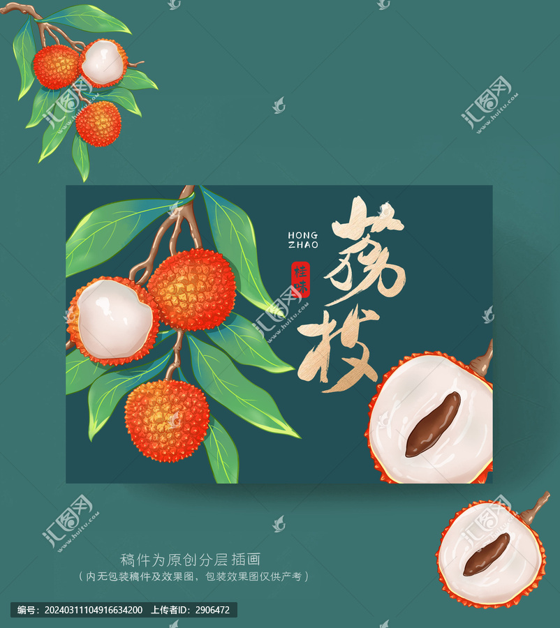 桂味荔枝插畫(huà)包裝