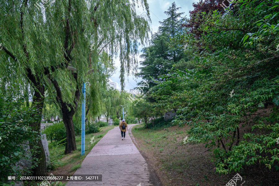 青岛农业大学湖畔小路