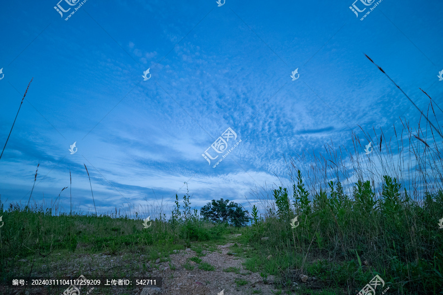 青岛西海岸海边草地晚霞