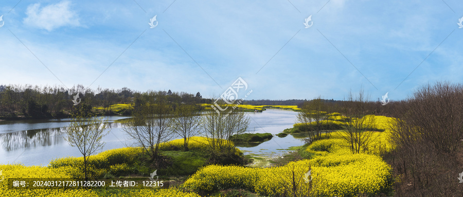 湿地风景