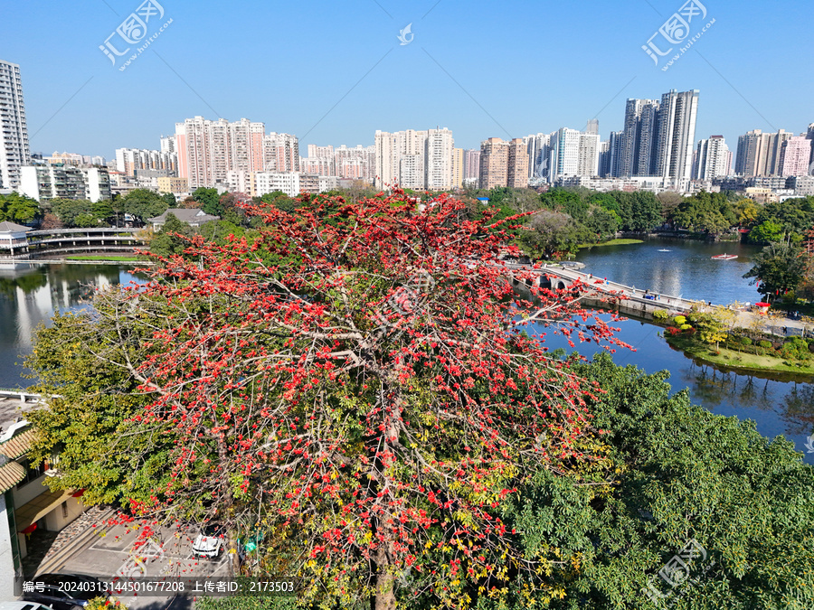 广州荔湾湖