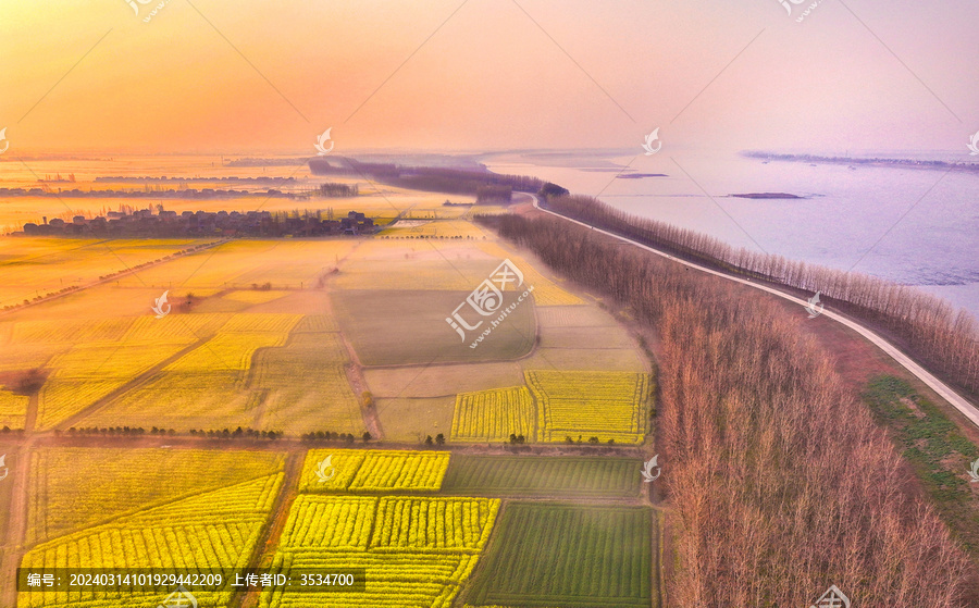 夕陽中的江陵油菜花海