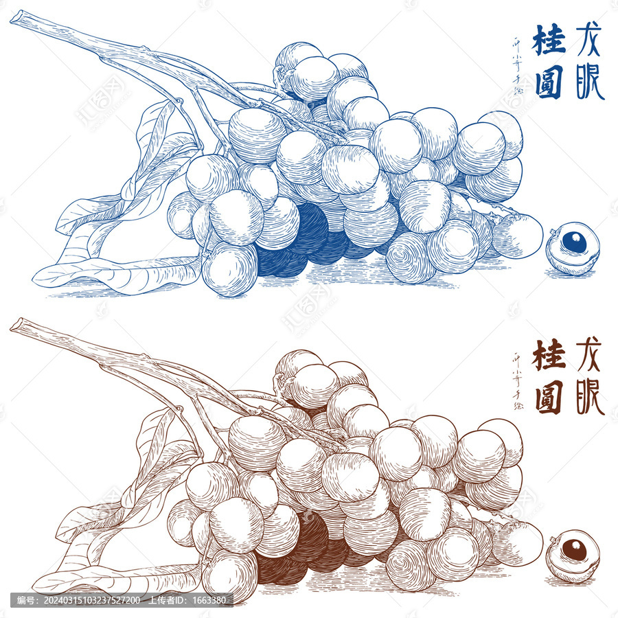 桂圓版畫
