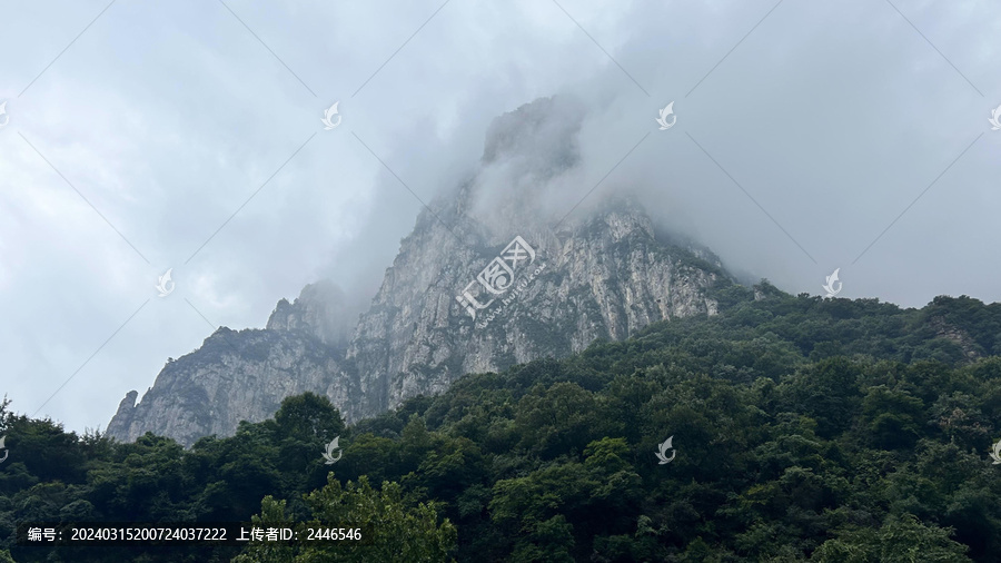 森林高山石头