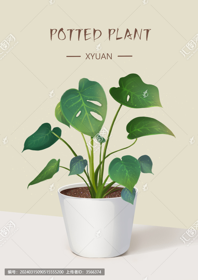 植物花草盆栽插畫