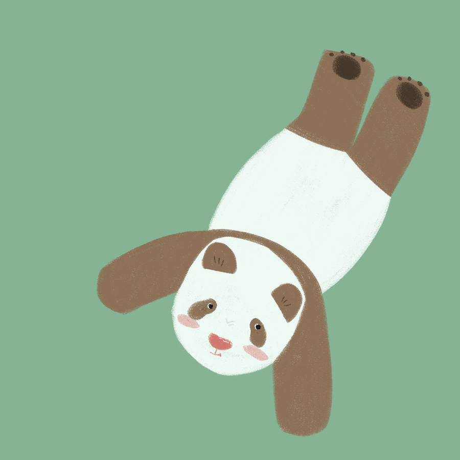 Panda1熊貓