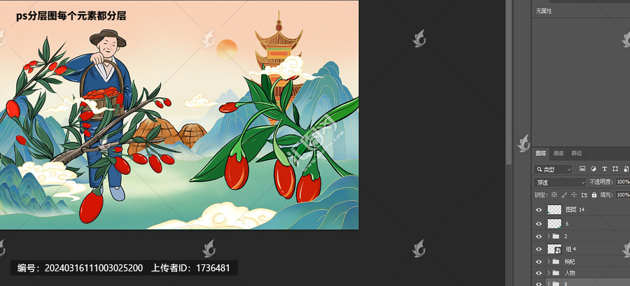 手繪寧夏枸杞插畫