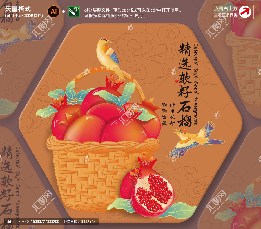 軟籽石榴插畫