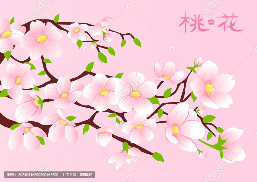 桃花