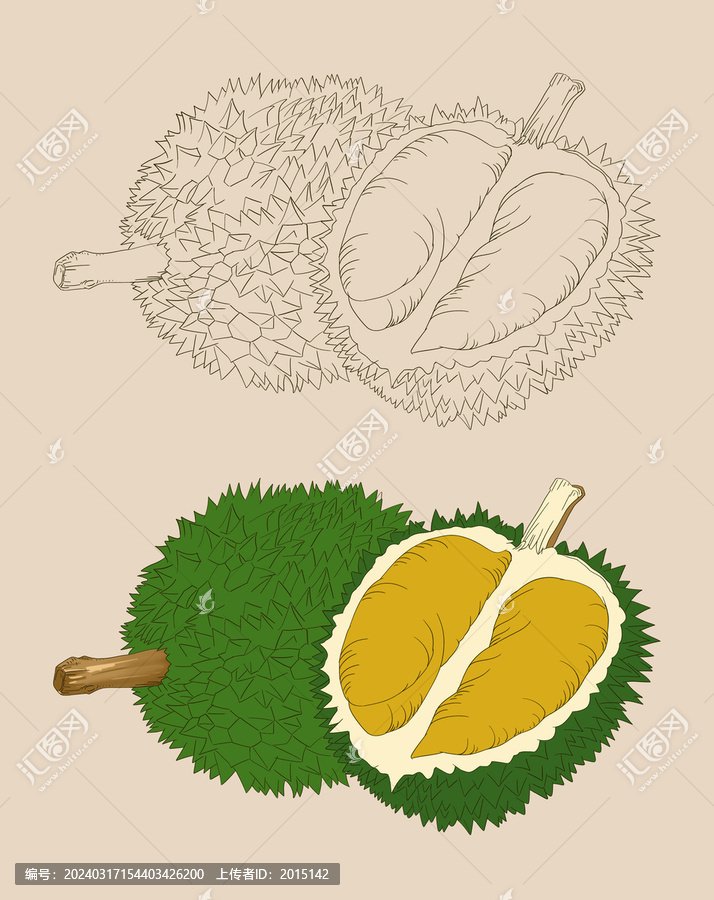 榴蓮插畫