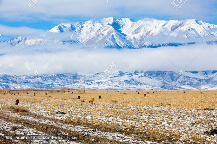 新疆冬季巍巍天山