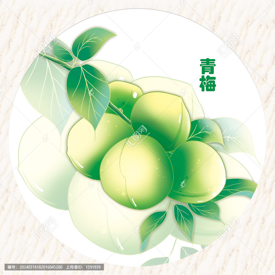 手繪青梅包裝插畫