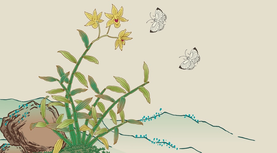 石斛鐵皮石斛插畫仿國畫矢量圖