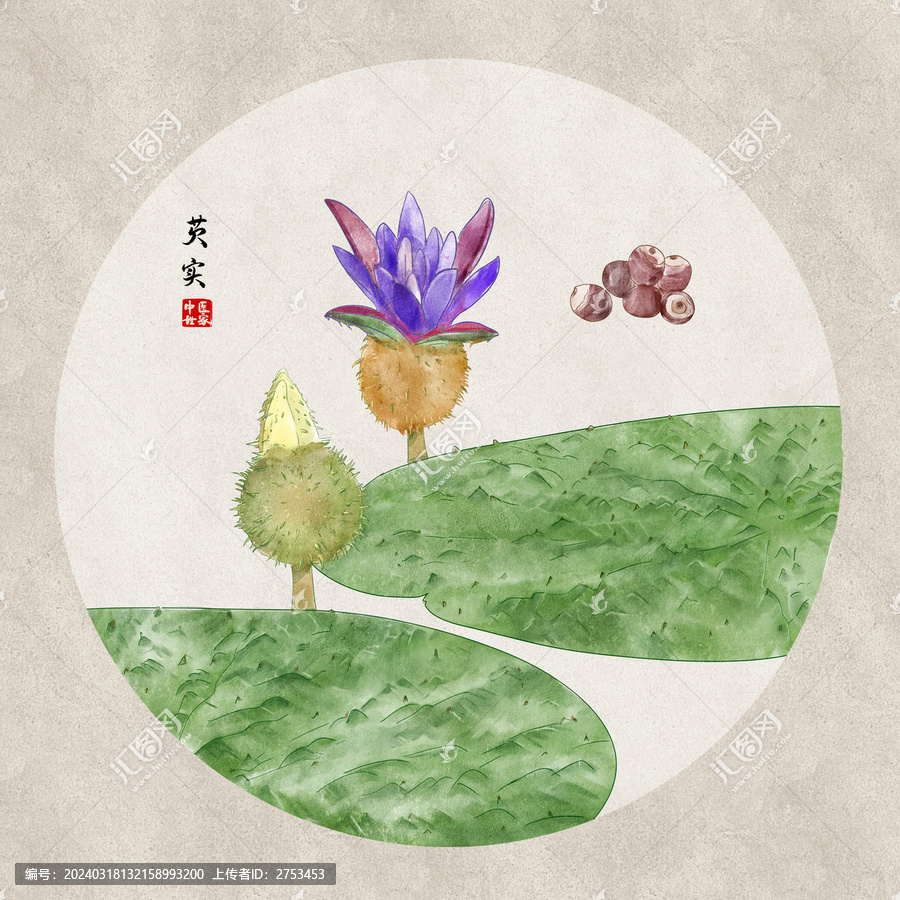 芡實(shí)