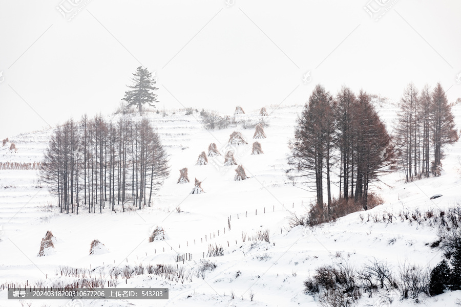 吉林松岭雪村冬季东北农村雪景