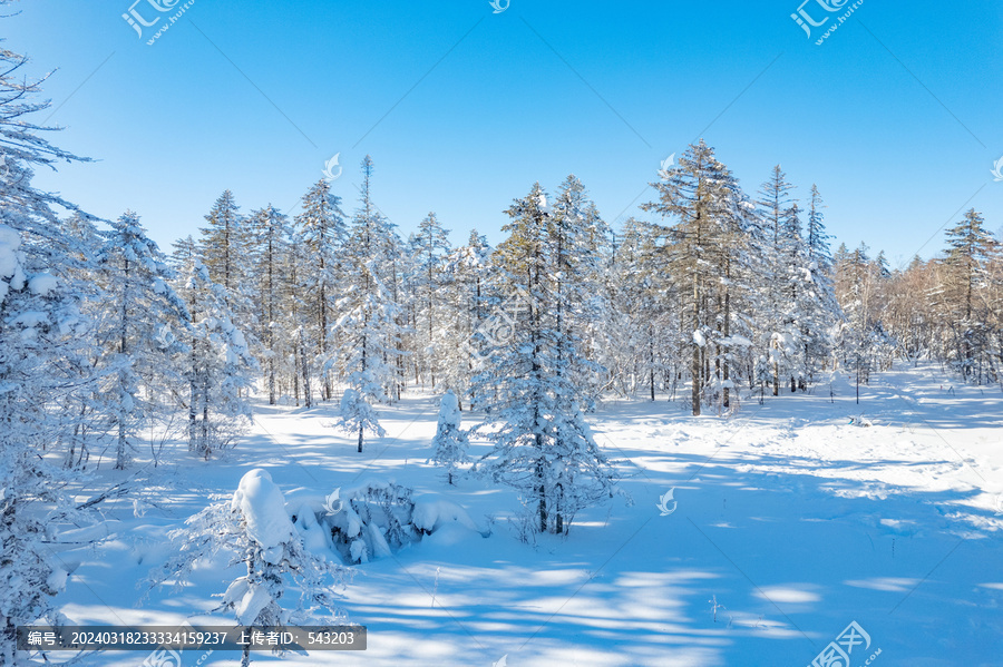 航拍东北雪景旅游森林雪后俯拍