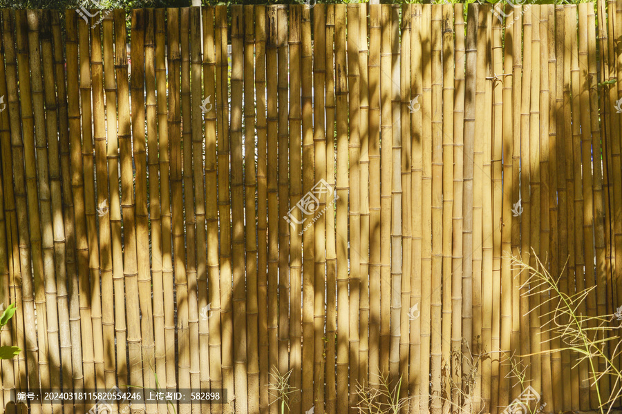 竹围栏上的树影