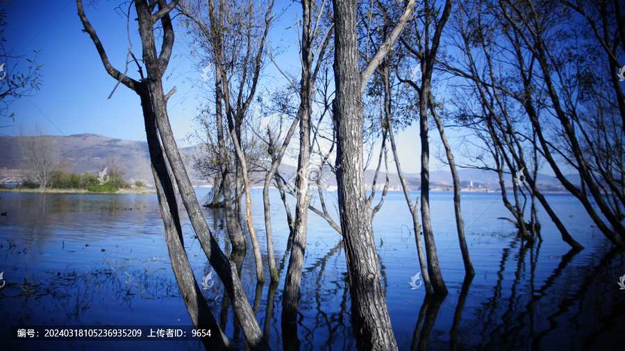 大理洱海苍山湿地