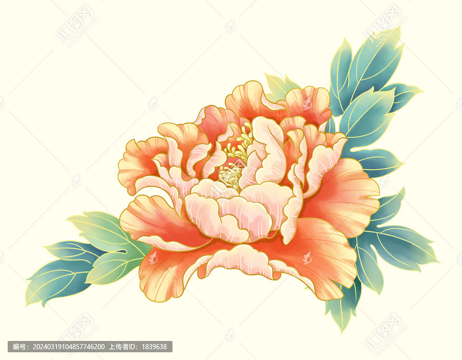 牡丹花插畫素材