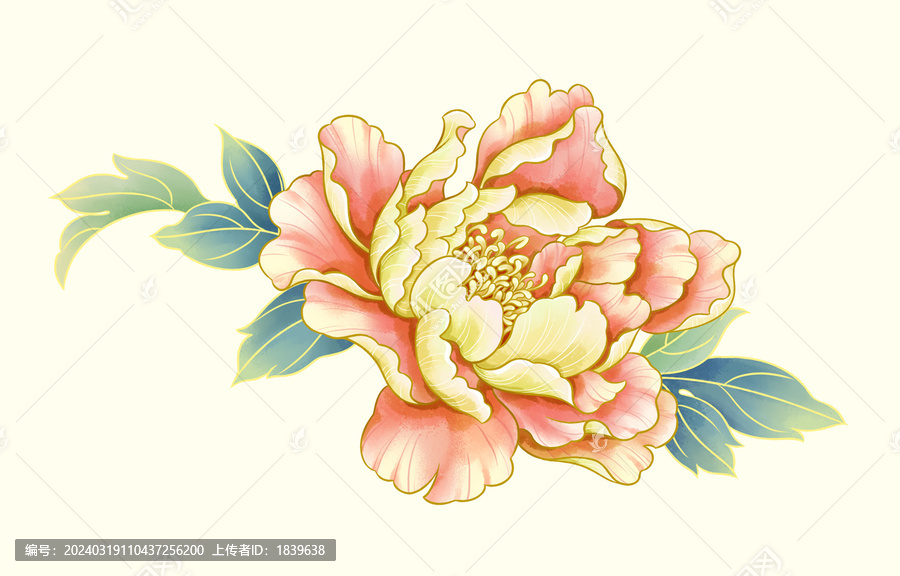 國(guó)風(fēng)牡丹花插畫(huà)素材
