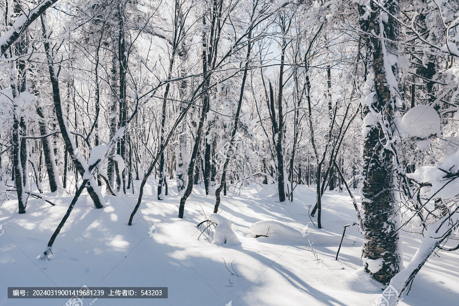 冬季天森林雪景树挂东北老里克湖