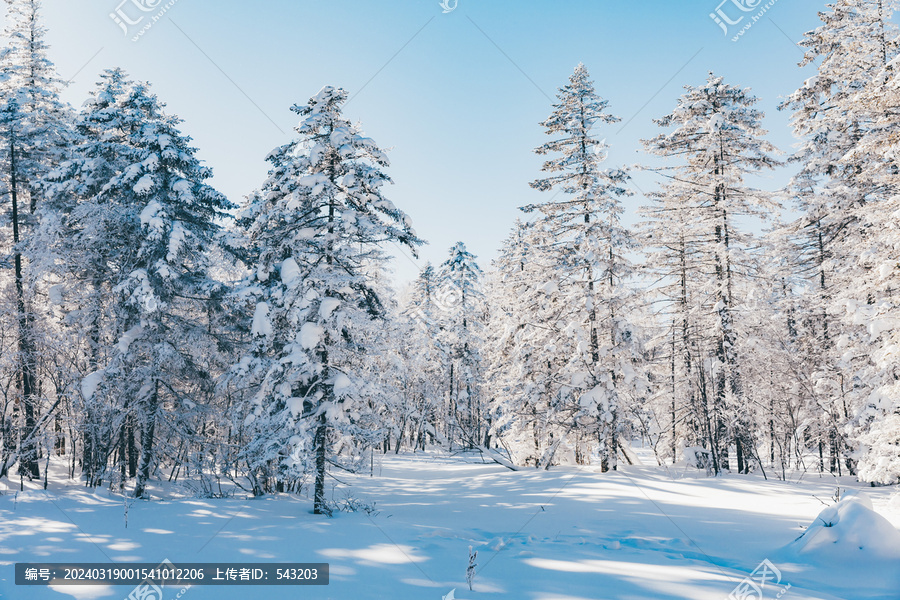 冬季天森林雪景树挂东北老里克湖